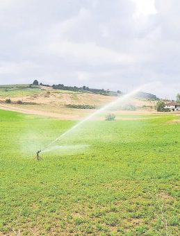 Gökçeören Ovası’nda Çiftçinin Su Sevinci