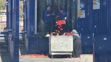 G&ouml;r&uuml;nt&uuml;ler Tepki Topladı: Zincir Markette Kasa Kasa Domates &Ccedil;&ouml;pe Atıldı