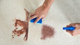 Halıdaki Tüm Lekeleri Tek Harekette Temizliyor! İşte Basit Formülü…