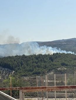 Hatay'daki Orman Yangını Üzerinde Kontrol Sağlandı