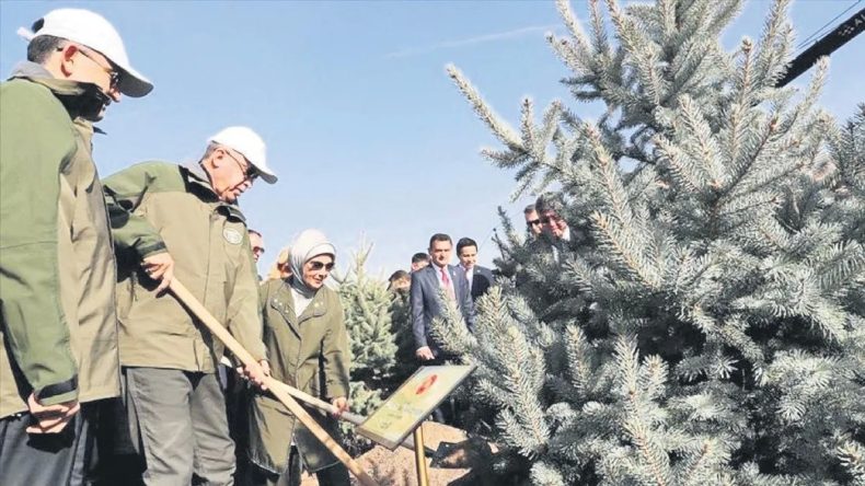 Hedef 10 Milyar Fidan