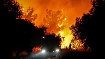 H&uuml;k&uuml;metten Orman Yangınlarıyla İlgili Yeni &Ouml;nlemler
