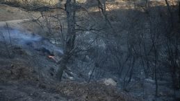 İbrahim Yumaklı: Çanakkale’deki yangınlar tamamen kontrol altında