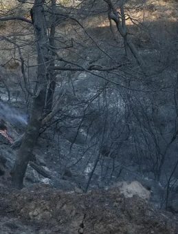 İbrahim Yumaklı: Çanakkale’deki yangınlar tamamen kontrol altında