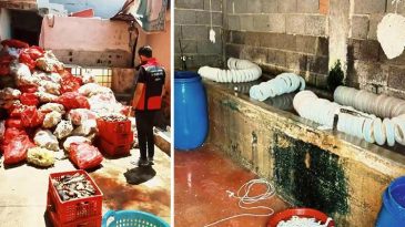 İşletmede Sağlıksız &Uuml;retim! Denetimlerde Şaşırtıcı Buluntular