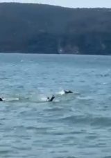 İstanbul'da Tekne Alabora Oldu: 3 Kişi Kurtarıldı, 1 Kişi Hayatını Kaybetti