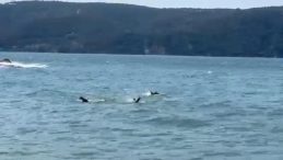 İstanbul'da Tekne Alabora Oldu: 3 Kişi Kurtarıldı, 1 Kişi Hayatını Kaybetti
