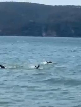İstanbul'da Tekne Alabora Oldu: 3 Kişi Kurtarıldı, 1 Kişi Hayatını Kaybetti