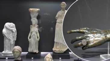 İzmir'de 45 Yıl Sonra İlk Kez G&ouml;r&uuml;c&uuml;ye &Ccedil;ıktı!