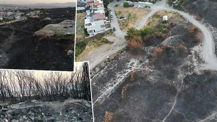 İzmir'de Yangın Alanları Dronla Görüntülendi