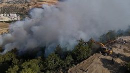 Karabük’te Orman Yangını