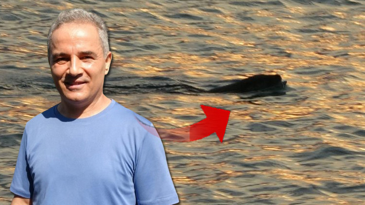 Karadeniz'de Endişe Verici Manzara! 'Güçlü Bir Yırtıcı' Açıklamada Bulundu