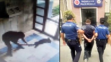 Kediyi İşkenceyle &Ouml;ld&uuml;ren Şahıs G&ouml;zaltına Alındı