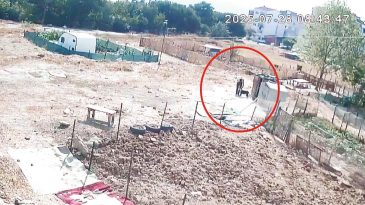 Kim Bu K&ouml;pek Katili?