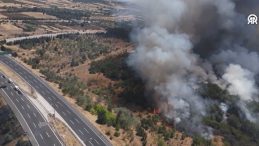 Kırklareli'nde Ağaçlık Alanda Çıkan Yangın: Avrupa Otoyolu Trafiğe Kapandı