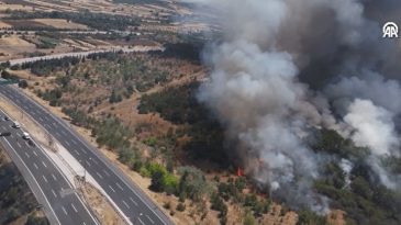 Kırklareli'nde Ağa&ccedil;lık Alanda &Ccedil;ıkan Yangın: Avrupa Otoyolu Trafiğe Kapandı