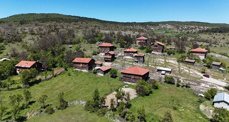 Köyüne Dönene Büyük Fırsat! Tarım İçin Arazi, Oturmak İçin Ev: İşte Detaylar…