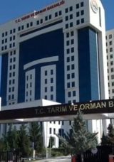 Krema ve Kaymak Üretimi İçin Yeni Standartlar Belirlendi