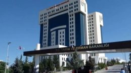 Krema ve Kaymak Üretimi İçin Yeni Standartlar Belirlendi