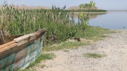 Kuraklık Riski Altındaki 8 Göl İçin Acil Eylem Planı Hazırlanacak