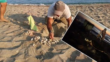 Kuşadası'nda Yılın İlk Buluşması Ger&ccedil;ekleşti! 'Bu Durum Bizim İ&ccedil;in de S&uuml;rpriz Oldu'