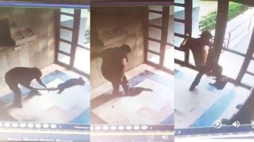 &lsquo;Cezve&rsquo;yi işkence yaparak &ouml;ld&uuml;ren hayvan d&uuml;şmanı en ağır cezayı almalı