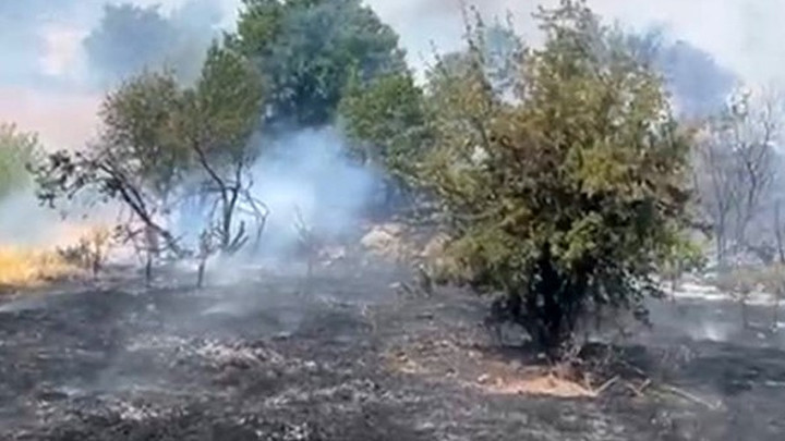Malatya'da Orman Yangını: Ekipler Müdahale Ediyor