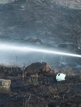 Maltepe'de Otluk Alanda Patlayan Fişek Yangın Çıkardı: Hızla Yakayı Ele Verdi!