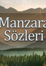 Manzara &Uuml;zerine S&ouml;zler: Dağlar, Ağa&ccedil;lar ve Deniz Temalı G&uuml;zel S&ouml;zler ve Mesajlar