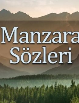 Manzara Üzerine Sözler: Dağlar, Ağaçlar ve Deniz Temalı Güzel Sözler ve Mesajlar