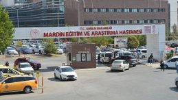 Mardin'de Üzücü Kaza: TIR'ın Çarptığı Down Sendromlu Adam Hayatını Kaybetti!