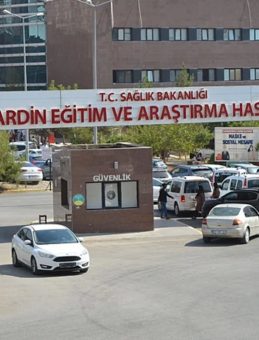 Mardin'de Üzücü Kaza: TIR'ın Çarptığı Down Sendromlu Adam Hayatını Kaybetti!
