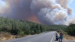 Mersin'de Orman Yangını! İlk Müdahale Ekipleri Sevk Edildi