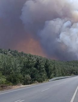 Mersin'de Orman Yangını! İlk Müdahale Ekipleri Sevk Edildi