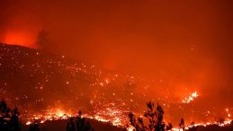Mersin'de Yangınla Mücadele Devam Ediyor: 90 Hane Tahliye Edildi!