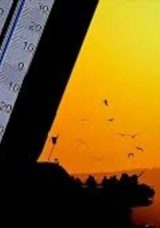 Meteoroloji Uyardı! Sıcak Hava Dalgaşı Geliyor: Hafta Sonuna Dikkat!