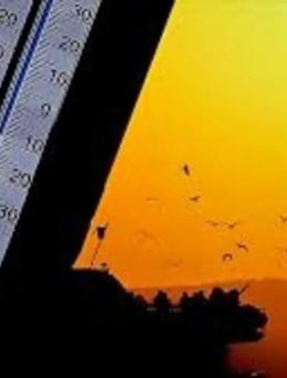 Meteoroloji Uyardı! Sıcak Hava Dalgaşı Geliyor: Hafta Sonuna Dikkat!