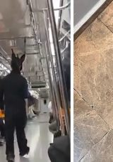 Metroda Tavşan Kost&uuml;m&uuml; ve T&uuml;fekle Dolaşan Kişi: Sosyal Medyada G&uuml;ndem Olan G&ouml;r&uuml;nt&uuml;lere Maskeli Parti A&ccedil;ıklaması!