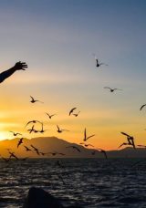 Motivasyon S&ouml;zleri – Başarı İ&ccedil;in Moral ve Motivasyon Veren S&ouml;zler