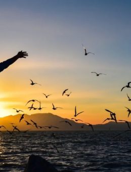 Motivasyon Sözleri – Başarı İçin Moral ve Motivasyon Veren Sözler