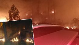 Muğla'da Korkutan Orman Yangını