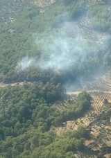 Muğla'daki Orman Yangını Kontrol Altına Alındı
