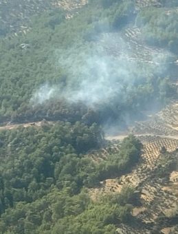 Muğla'daki Orman Yangını Kontrol Altına Alındı