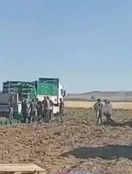 Niğde'de Patates Tarlasında Feci Kaza