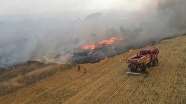 OGM M&uuml;d&uuml;r&uuml; Karacabey: Yangınların Y&uuml;zde 57'si Orman Dışı Alanlarda Başladı