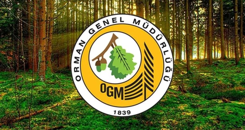 OGM'den Açıklama: Ormanların Korunmasına 11 Milyar Lira Harcandı