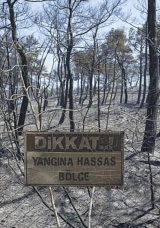 Orman Yangınlarıyla M&uuml;cadele S&uuml;r&uuml;yor: &Ccedil;anakkale'de Alevler Kontrol Altına Alındı! Uşak'ta Alevlerle M&uuml;cadele Devam Ediyor