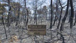 Orman Yangınlarıyla Mücadele Sürüyor: Çanakkale'de Alevler Kontrol Altına Alındı! Uşak'ta Alevlerle Mücadele Devam Ediyor