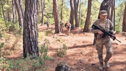 Ormanlar Mehmetçiğe Emanet