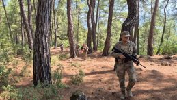 Ormanlar Mehmet&ccedil;iğe Emanet